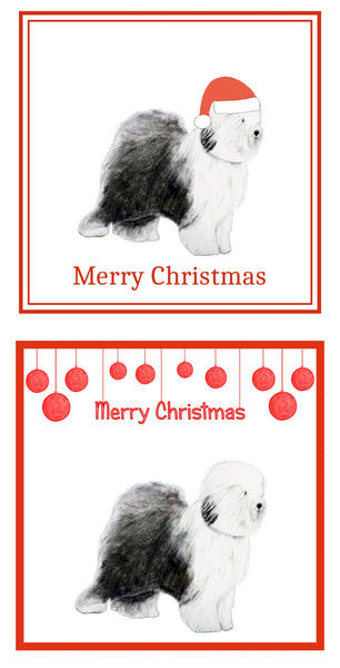 Old English Sheepdog Christmas Cards Pack of 6