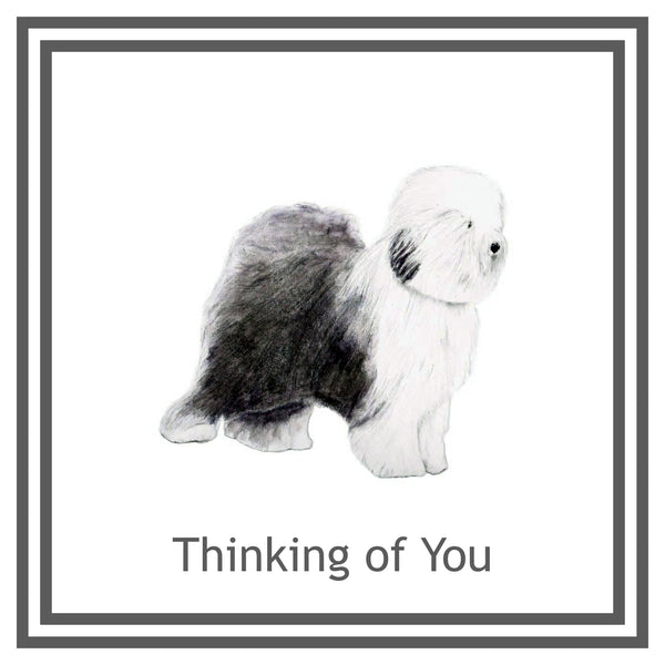 Old English Sheepdog Greeting Card Choice of 6 Designs BIRTHDAY, THINKING OF YOU, BLANK