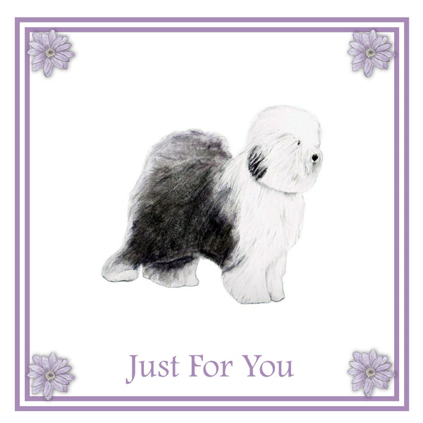 Old English Sheepdog Greeting Card Choice of 6 Designs BIRTHDAY, THINKING OF YOU, BLANK