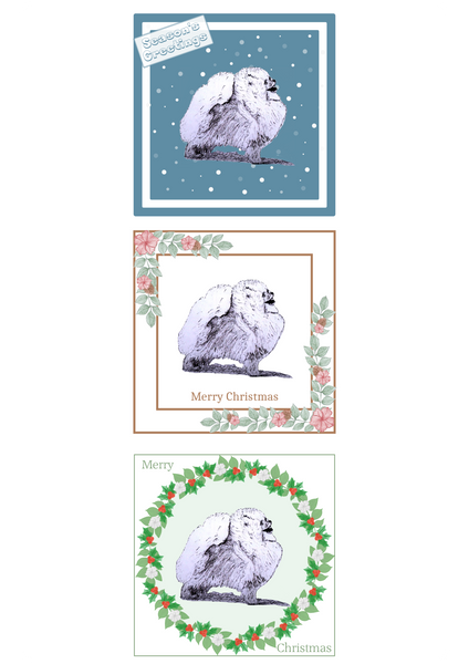 Pomeranian Christmas Card Choice of 3 Card Designs Single or Multi Pack