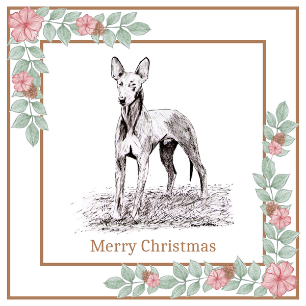 Pharaoh Hound Christmas Card Choice of 3 Card Designs Single or Multi Pack