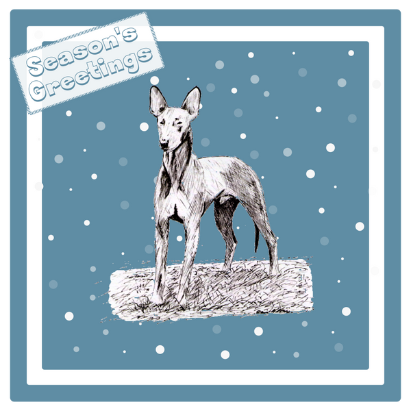 Pharaoh Hound Christmas Card Choice of 3 Card Designs Single or Multi Pack