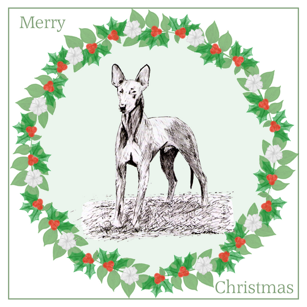 Pharaoh Hound Christmas Card Choice of 3 Card Designs Single or Multi Pack