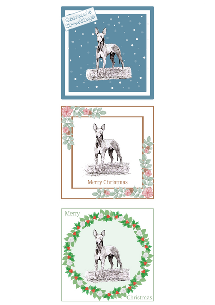 Pharaoh Hound Christmas Card Choice of 3 Card Designs Single or Multi Pack