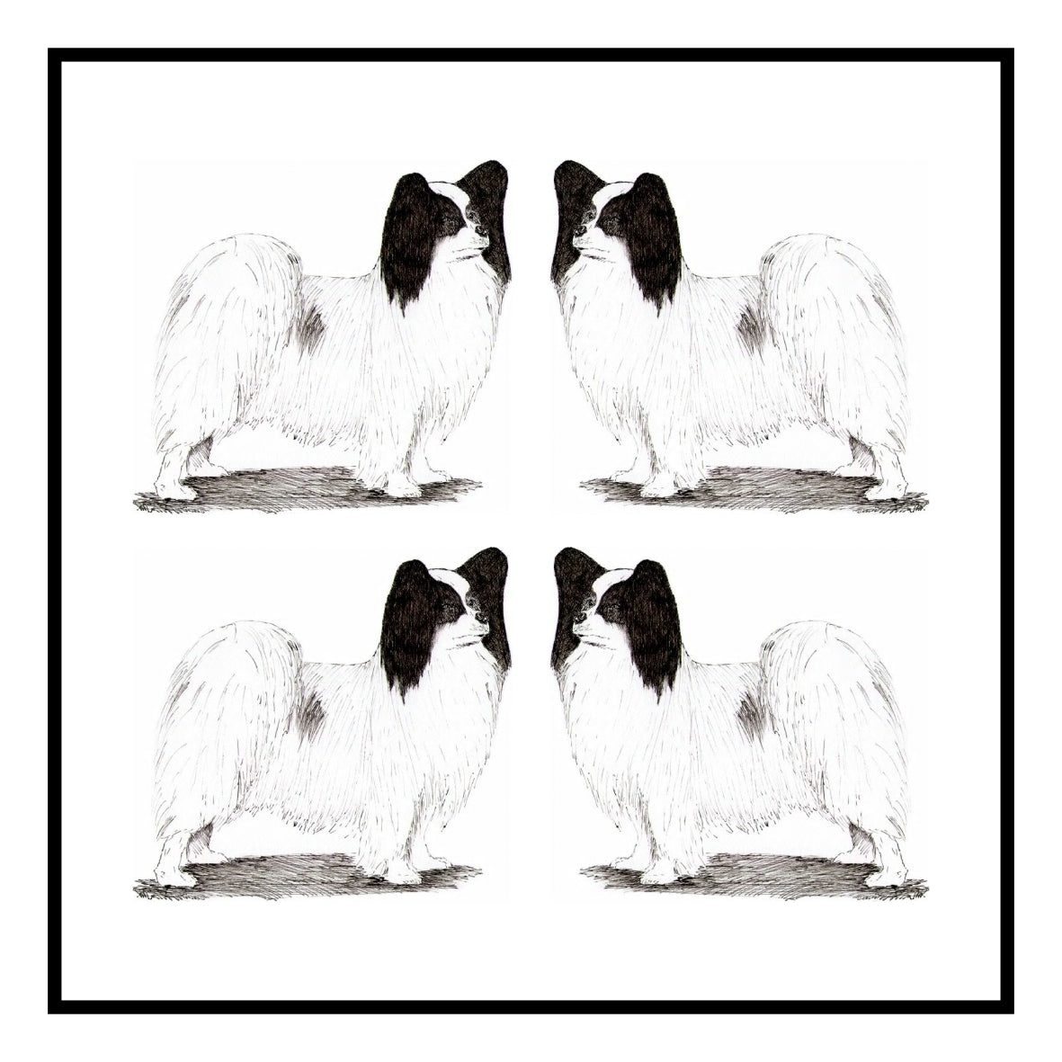 Papillon Greeting Card Choice of 6 Designs BIRTHDAY, THINKING OF YOU, BLANK