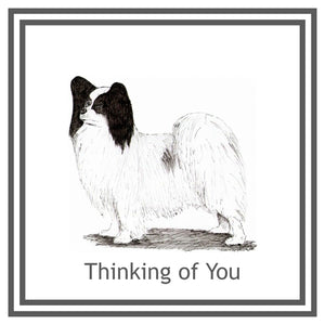 Papillon Greeting Card Choice of 6 Designs BIRTHDAY, THINKING OF YOU, BLANK