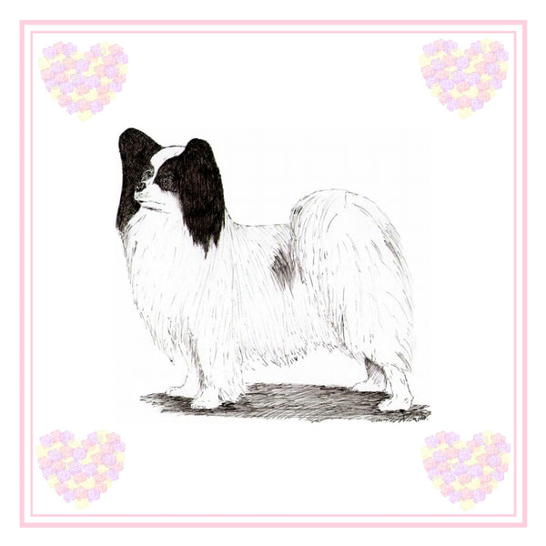 Papillon Greeting Card Choice of 6 Designs BIRTHDAY, THINKING OF YOU, BLANK