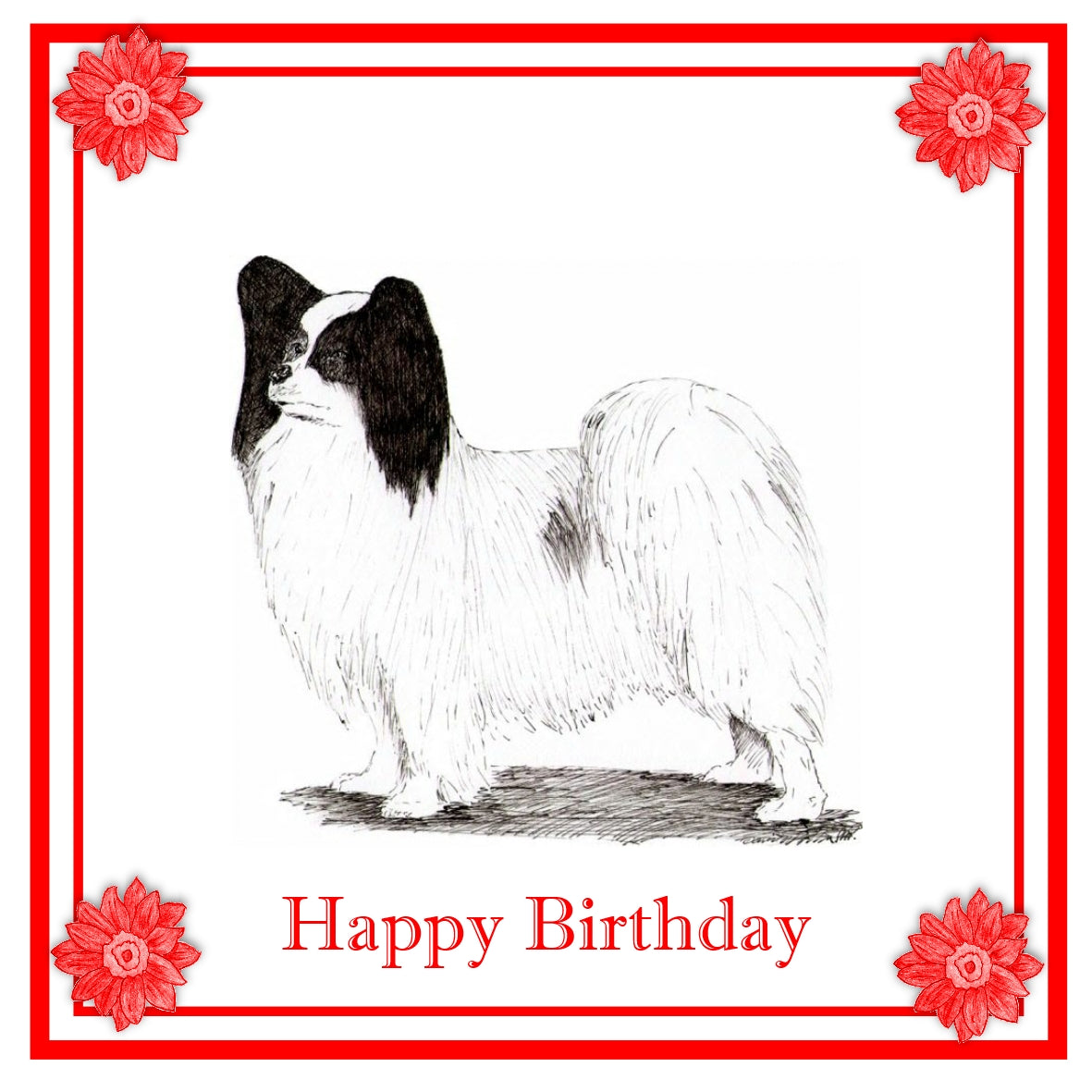Papillon Greeting Card Choice of 6 Designs BIRTHDAY, THINKING OF YOU, BLANK