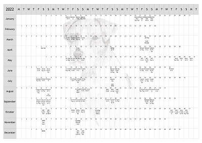 Parson Russell Terrier Dog Show 2022 Year Planner A4