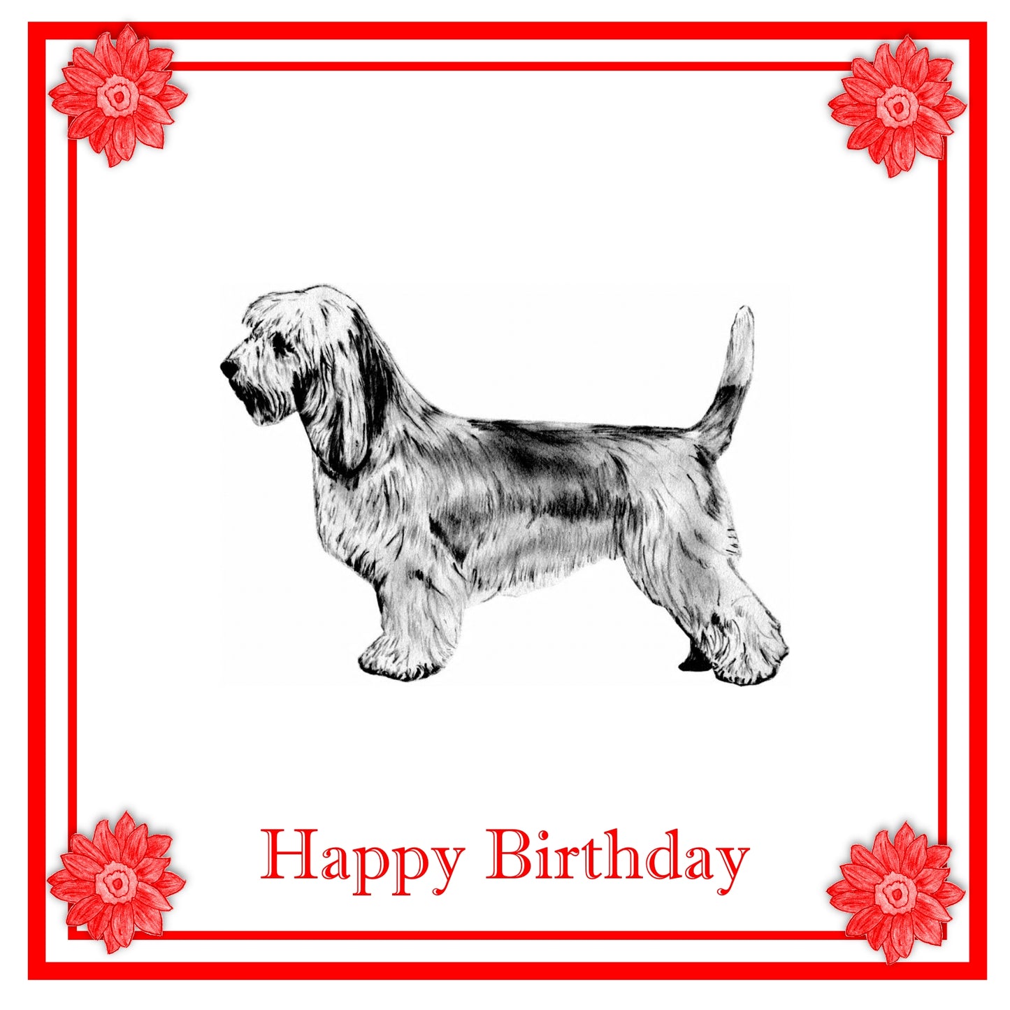 Petit Basset Griffon Vendeen Greeting Card Choice of 6 Designs BIRTHDAY, THINKING OF YOU, BLANK