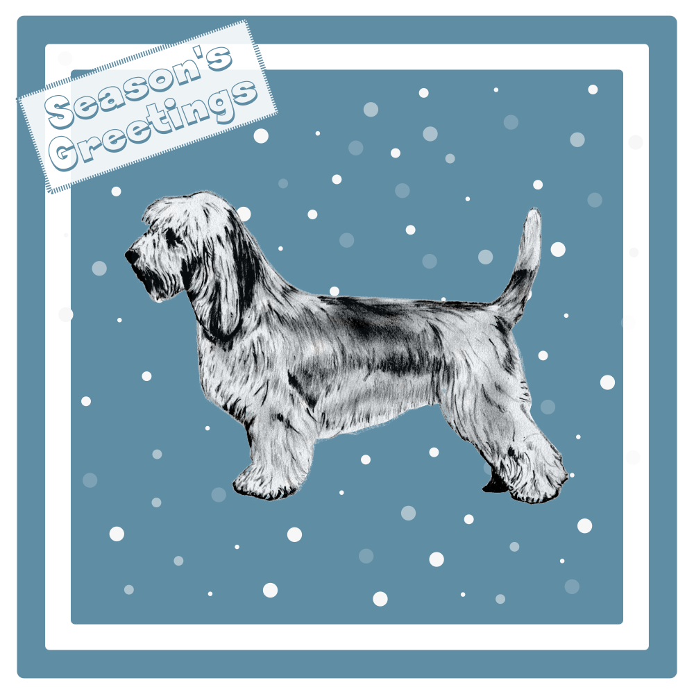 PBGV Christmas Card Choice of 3 Card Designs Single or Multi Pack