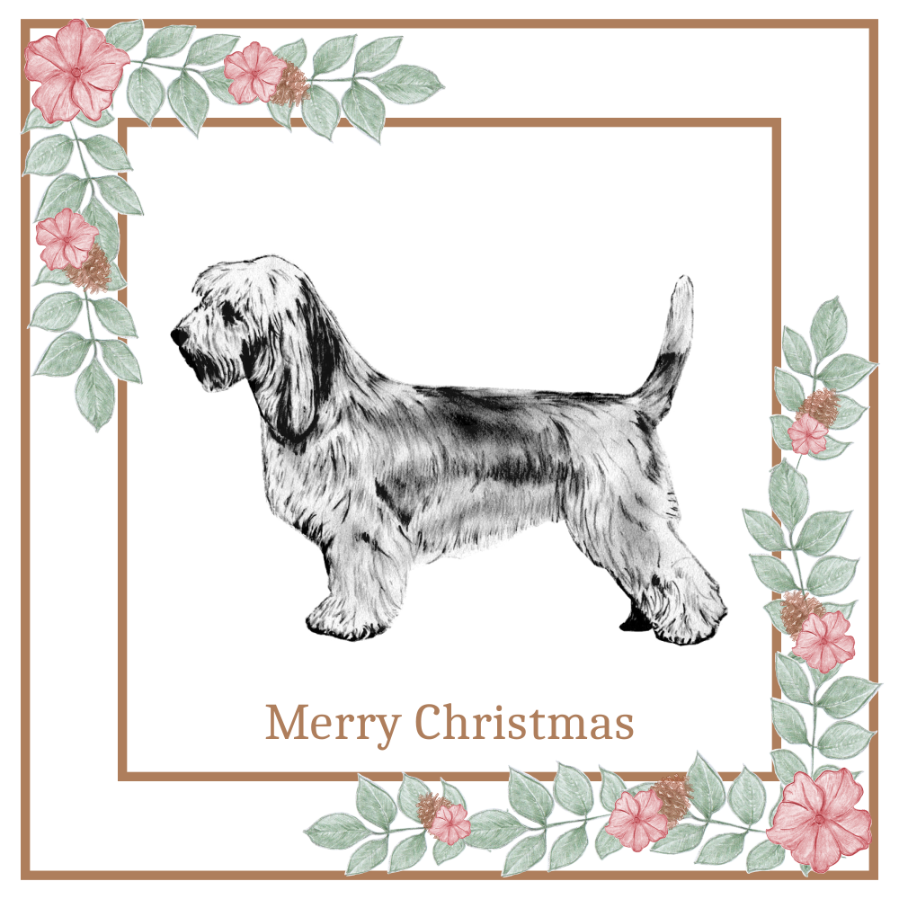 PBGV Christmas Card Choice of 3 Card Designs Single or Multi Pack