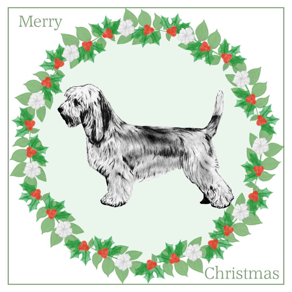 PBGV Christmas Card Choice of 3 Card Designs Single or Multi Pack