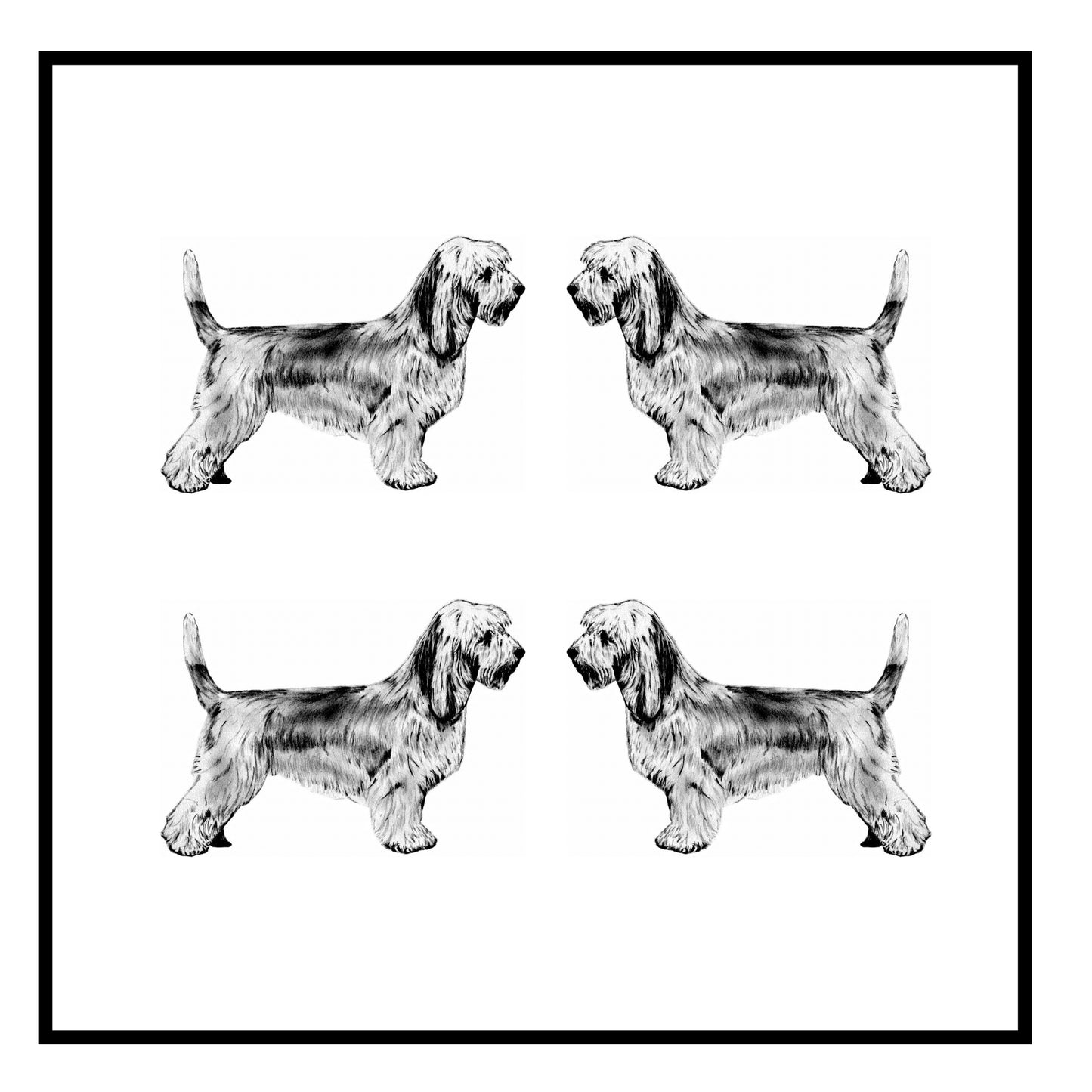 Petit Basset Griffon Vendeen Greeting Card Choice of 6 Designs BIRTHDAY, THINKING OF YOU, BLANK