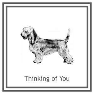 Petit Basset Griffon Vendeen Greeting Card Choice of 6 Designs BIRTHDAY, THINKING OF YOU, BLANK