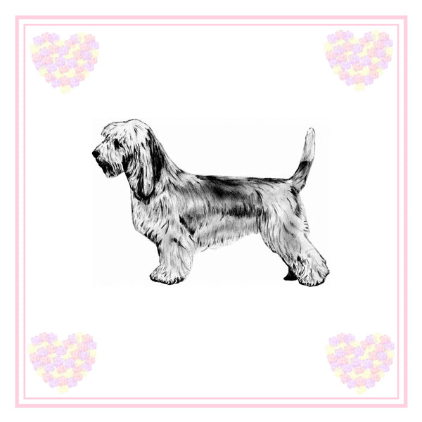 Petit Basset Griffon Vendeen Greeting Card Choice of 6 Designs BIRTHDAY, THINKING OF YOU, BLANK