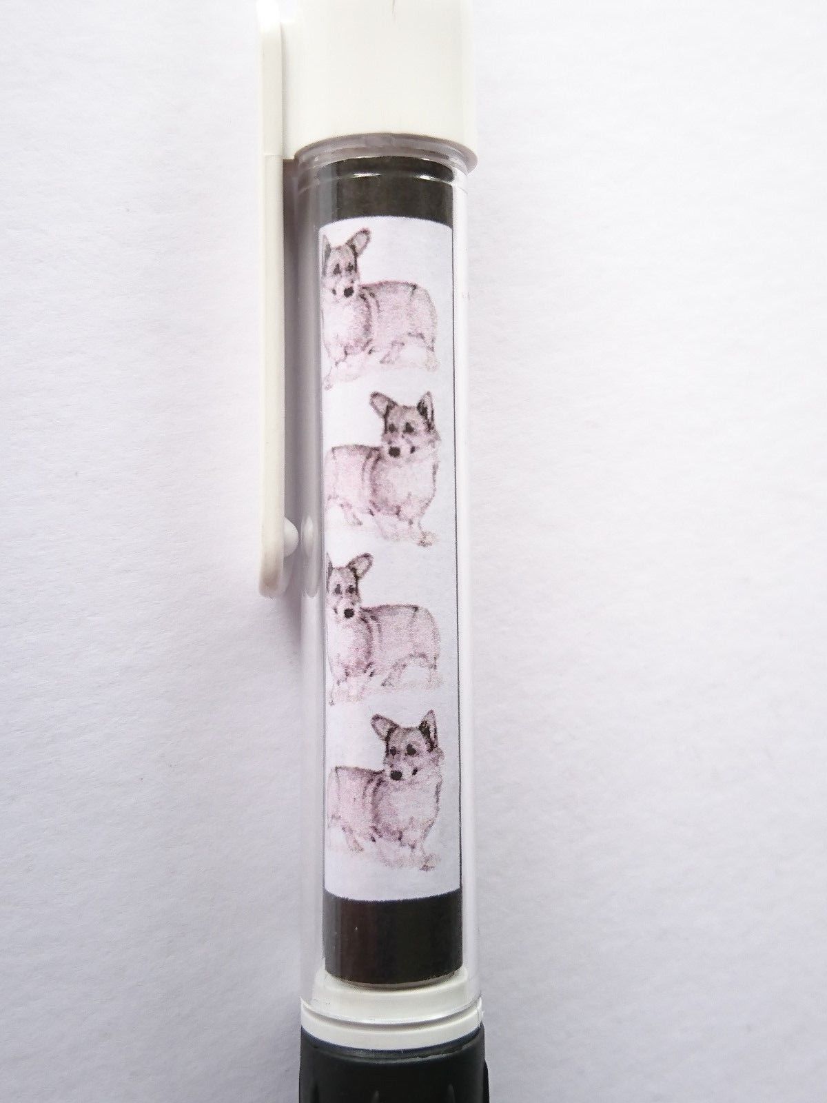 Welsh Corgi (Pembroke)  Pen