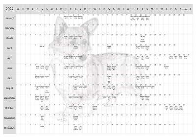 Pembroke Welsh Corgi Dog Show 2022 Year Planner A4
