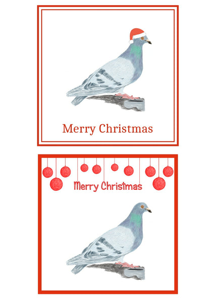Pigeon Christmas Cards Pack of 6