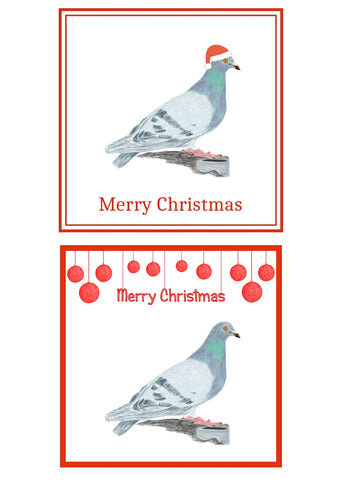 Pigeon Christmas Cards Pack of 6