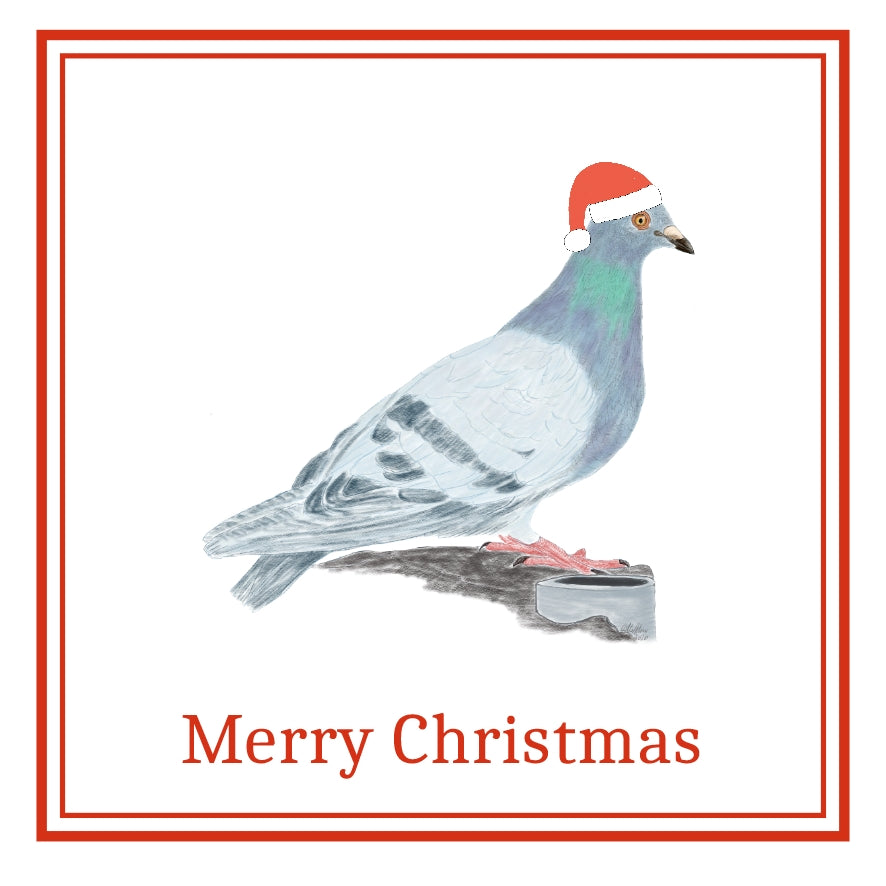 Pigeon Christmas Cards Pack of 6
