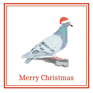 Pigeon Christmas Cards Pack of 6