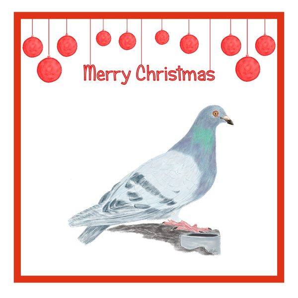 Pigeon Christmas Cards Pack of 6