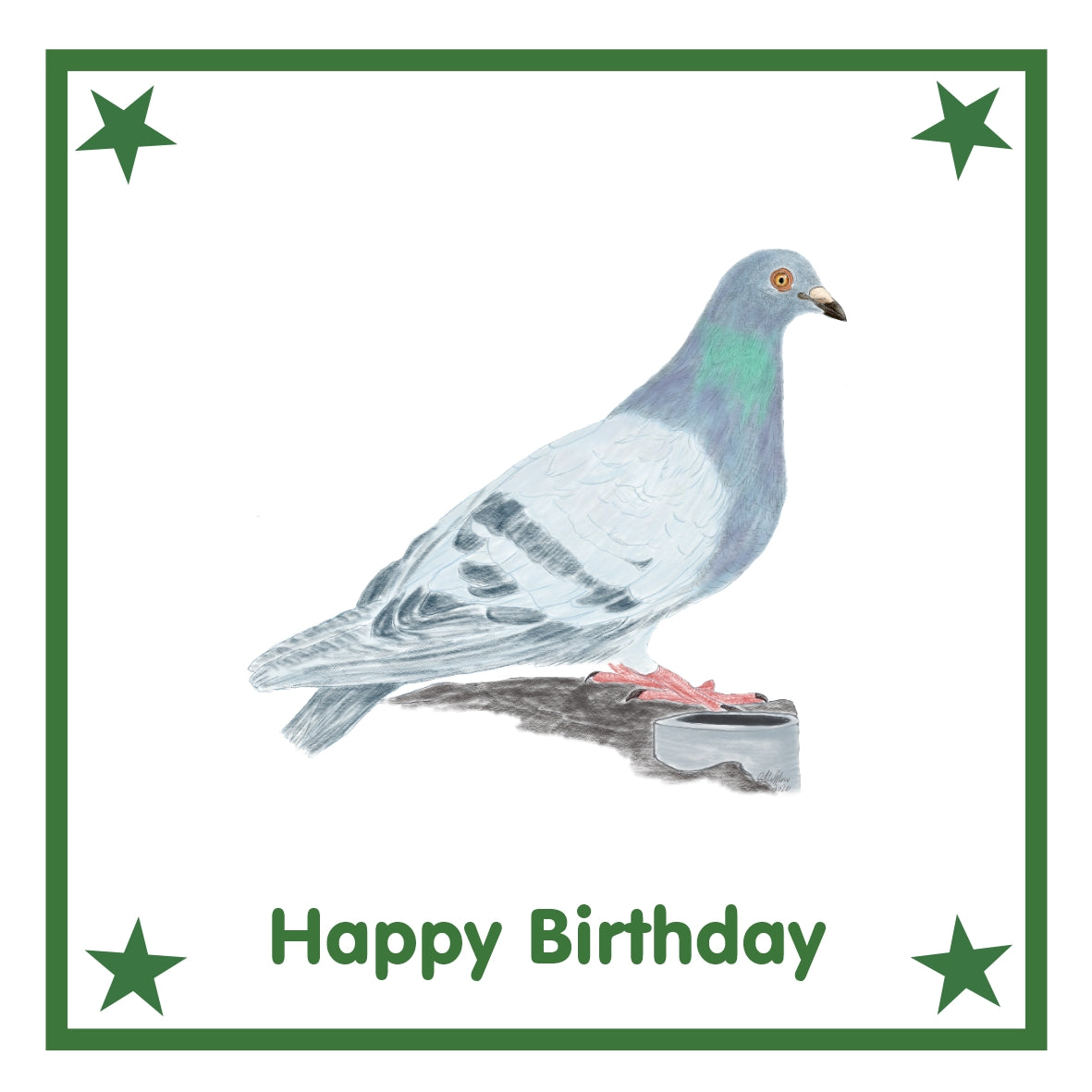 Pigeon Greeting Card Choice of 6 Designs BIRTHDAY, THINKING OF YOU, BLANK
