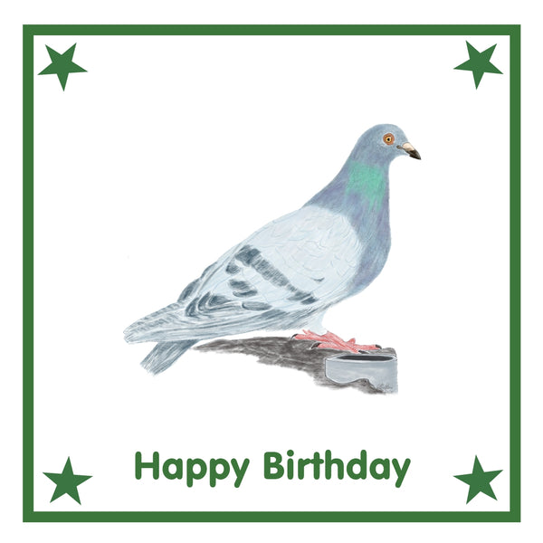 Pigeon Greeting Card Choice of 6 Designs BIRTHDAY, THINKING OF YOU, BLANK