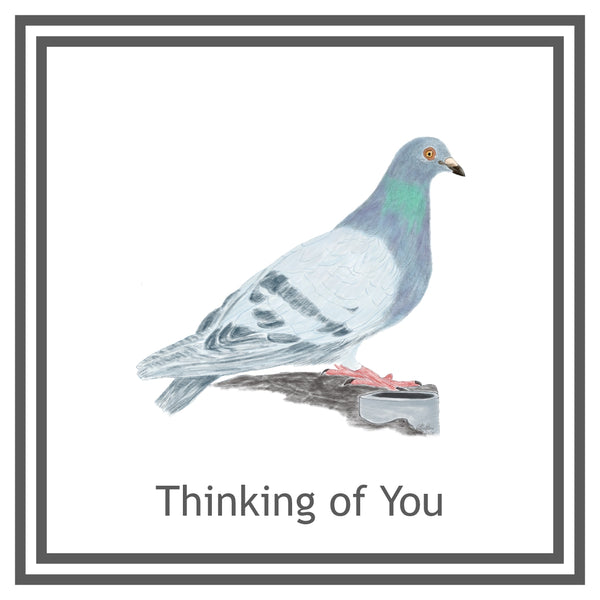 Pigeon Greeting Card Choice of 6 Designs BIRTHDAY, THINKING OF YOU, BLANK