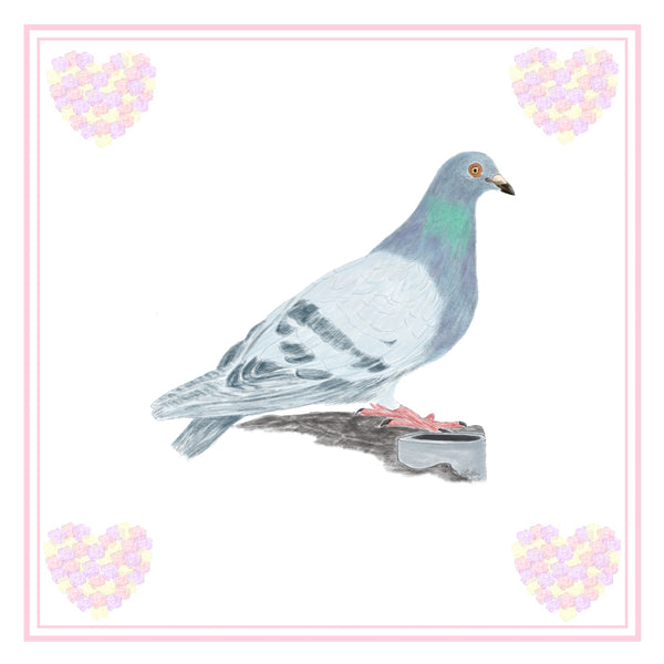 Pigeon Greeting Card Choice of 6 Designs BIRTHDAY, THINKING OF YOU, BLANK