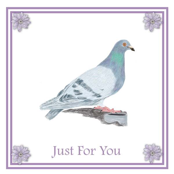 Pigeon Greeting Card Choice of 6 Designs BIRTHDAY, THINKING OF YOU, BLANK