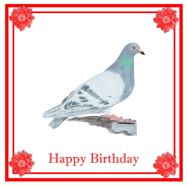 Pigeon Greeting Card Choice of 6 Designs BIRTHDAY, THINKING OF YOU, BLANK