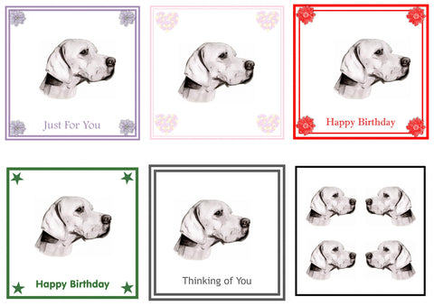 Pointer Greeting Card Choice of 6 Designs BIRTHDAY, THINKING OF YOU, BLANK