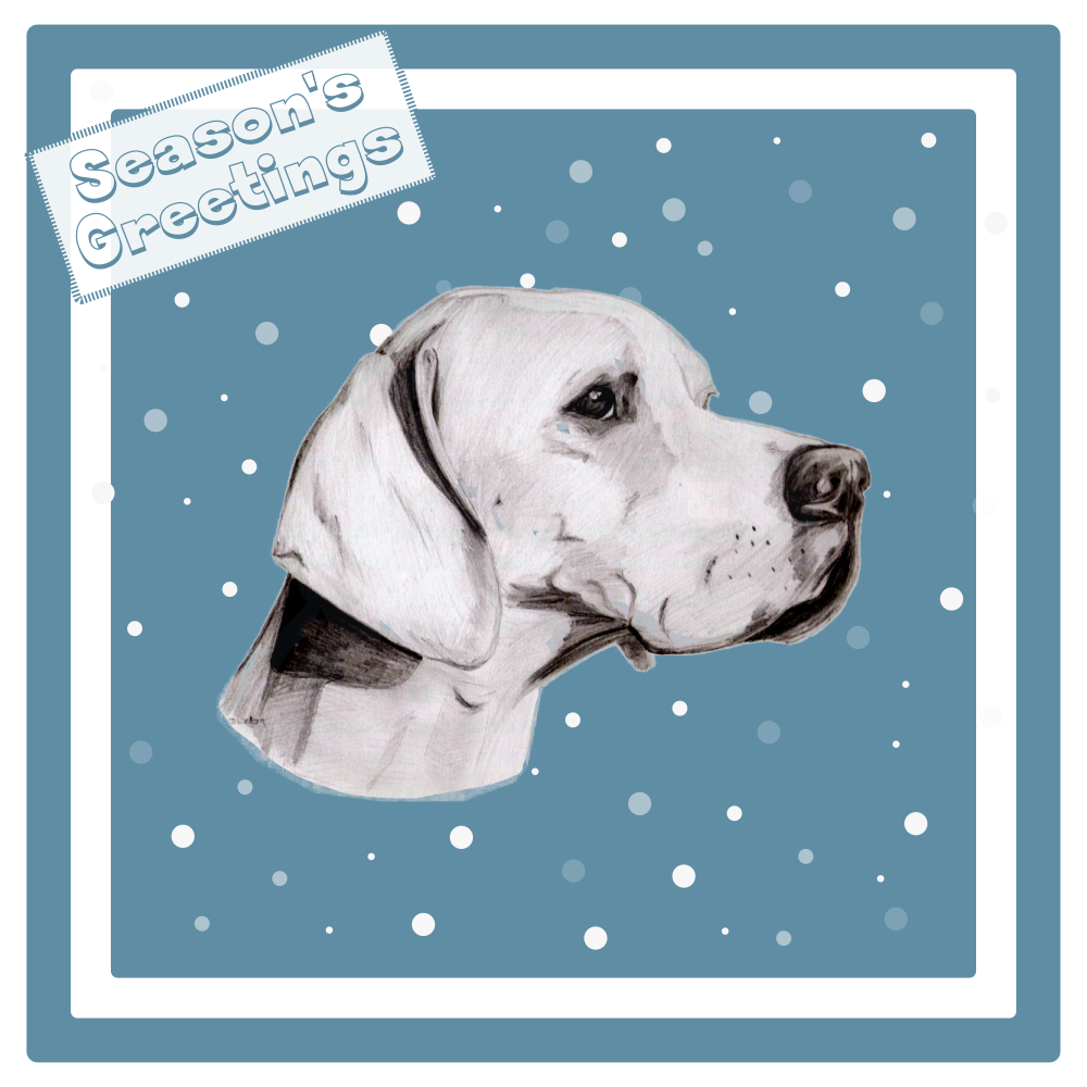 Pointer Christmas Card Choice of 3 Card Designs Single or Multi Pack