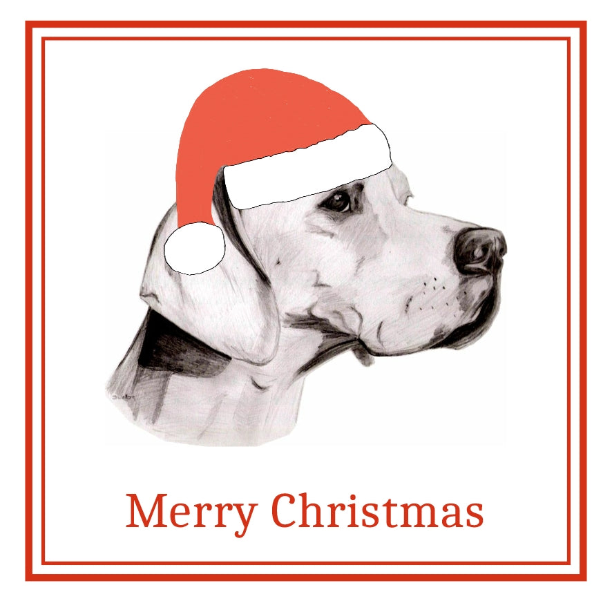 Pointer Christmas Cards Pack of 6