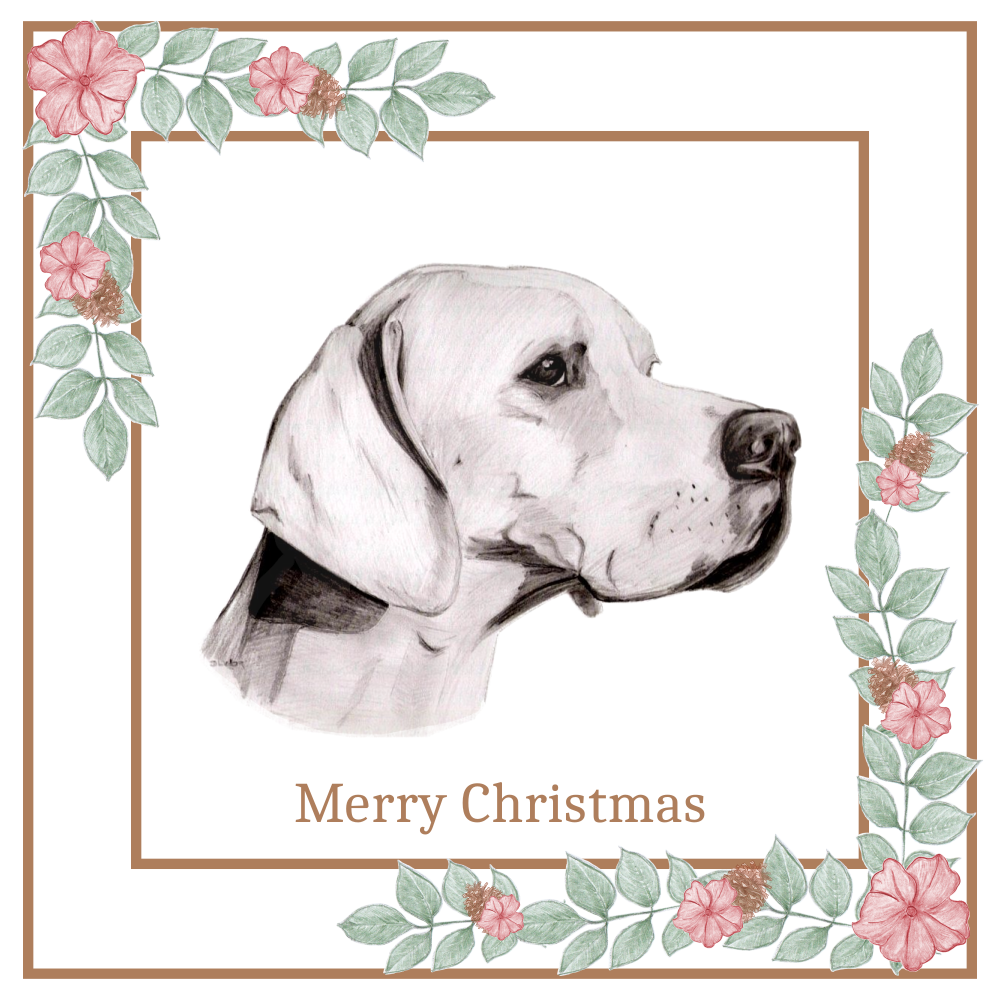 Pointer Christmas Card Choice of 3 Card Designs Single or Multi Pack
