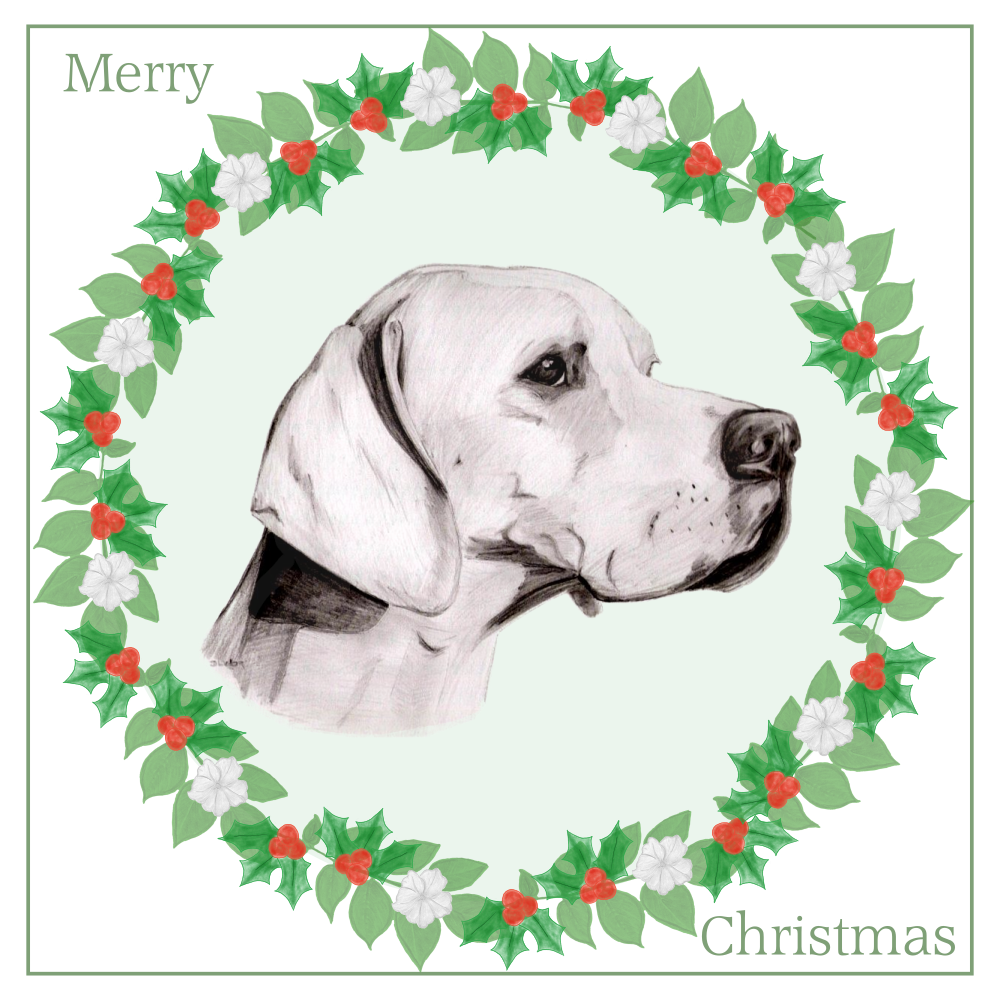 Pointer Christmas Card Choice of 3 Card Designs Single or Multi Pack