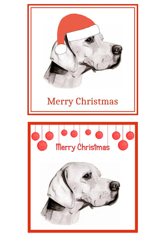 Pointer Christmas Cards Pack of 6
