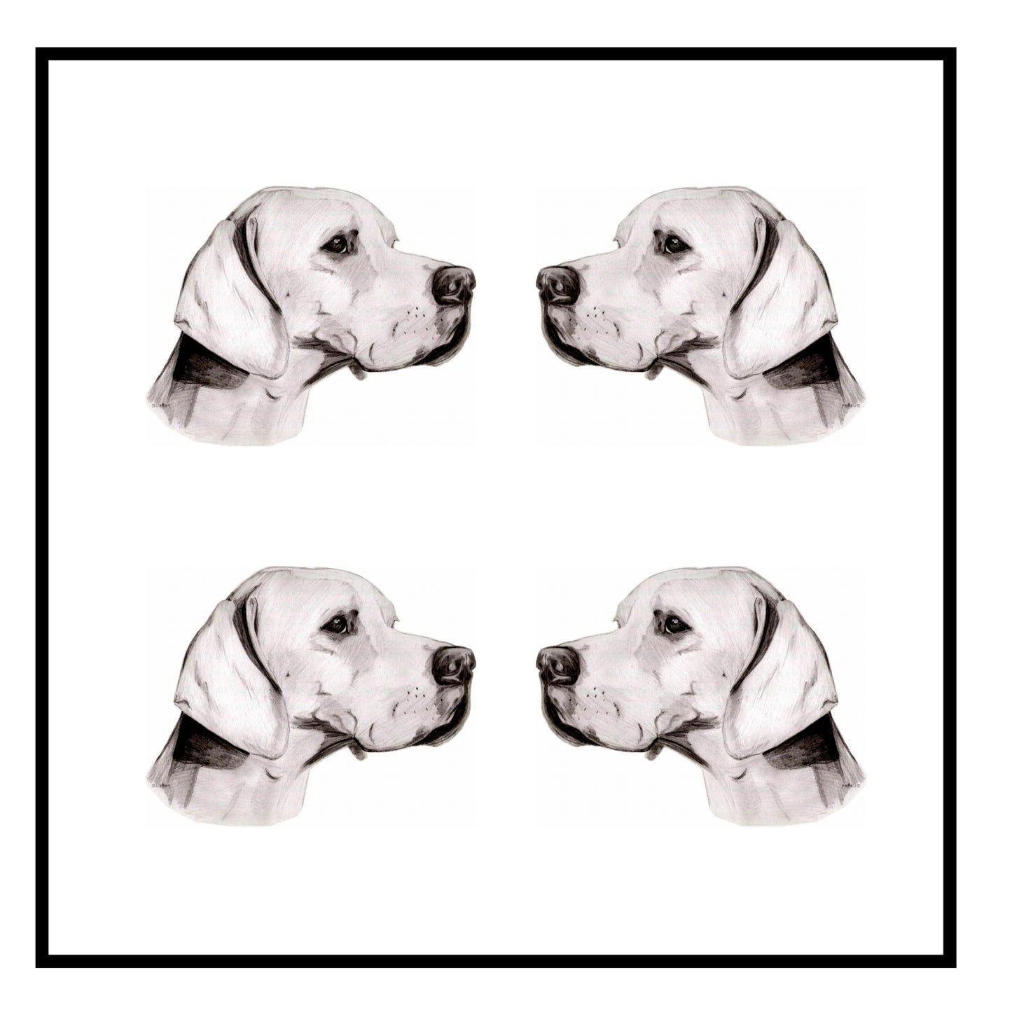 Pointer Greeting Card Choice of 6 Designs BIRTHDAY, THINKING OF YOU, BLANK