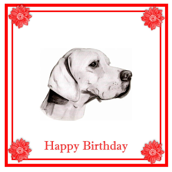 Pointer Greeting Card Choice of 6 Designs BIRTHDAY, THINKING OF YOU, BLANK