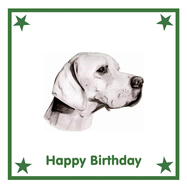 Pointer Greeting Card Choice of 6 Designs BIRTHDAY, THINKING OF YOU, BLANK