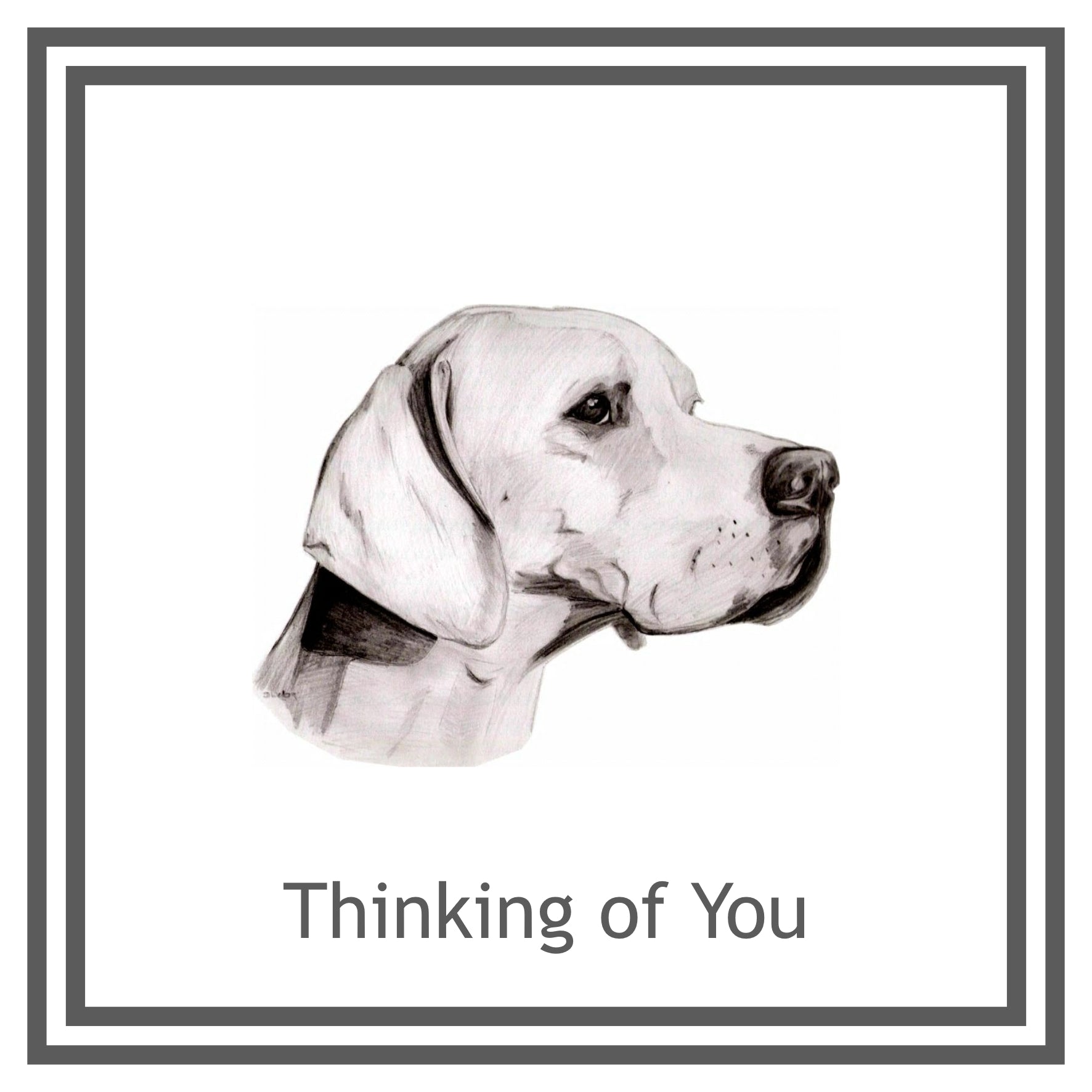 Pointer Greeting Card Choice of 6 Designs BIRTHDAY, THINKING OF YOU, BLANK