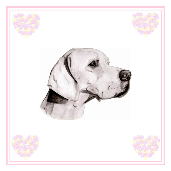 Pointer Greeting Card Choice of 6 Designs BIRTHDAY, THINKING OF YOU, BLANK