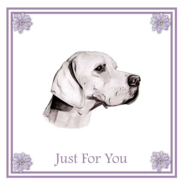 Pointer Greeting Card Choice of 6 Designs BIRTHDAY, THINKING OF YOU, BLANK