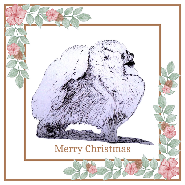 Pomeranian Christmas Card Choice of 3 Card Designs Single or Multi Pack