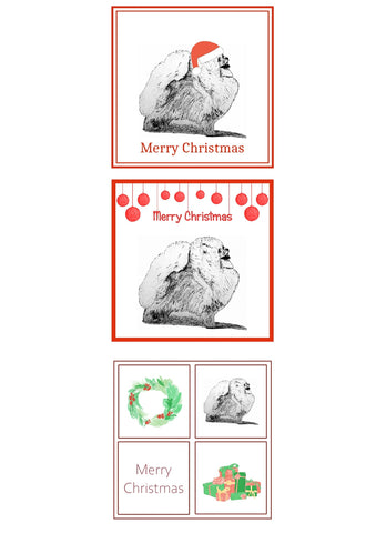 Pomeranian Christmas Card Choice of 3