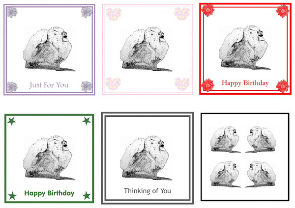 Pomeranian Greeting Card Choice of 6 Designs BIRTHDAY, THINKING OF YOU, BLANK