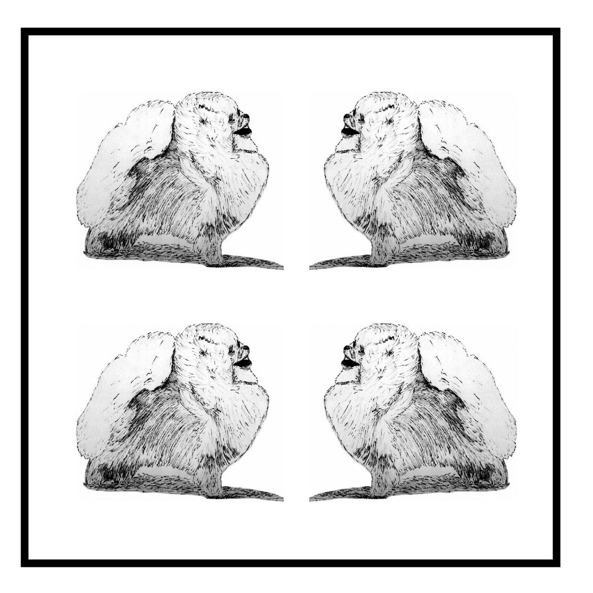 Pomeranian Greeting Card Choice of 6 Designs BIRTHDAY, THINKING OF YOU, BLANK