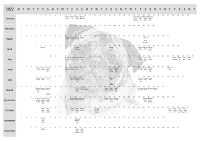 Pug Dog Show 2022 Year Planner A4